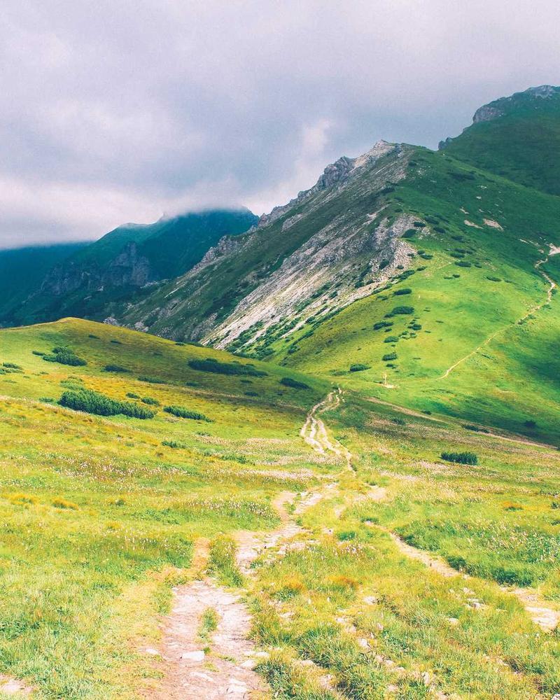 Founder preparing small-batch fermented vegetables